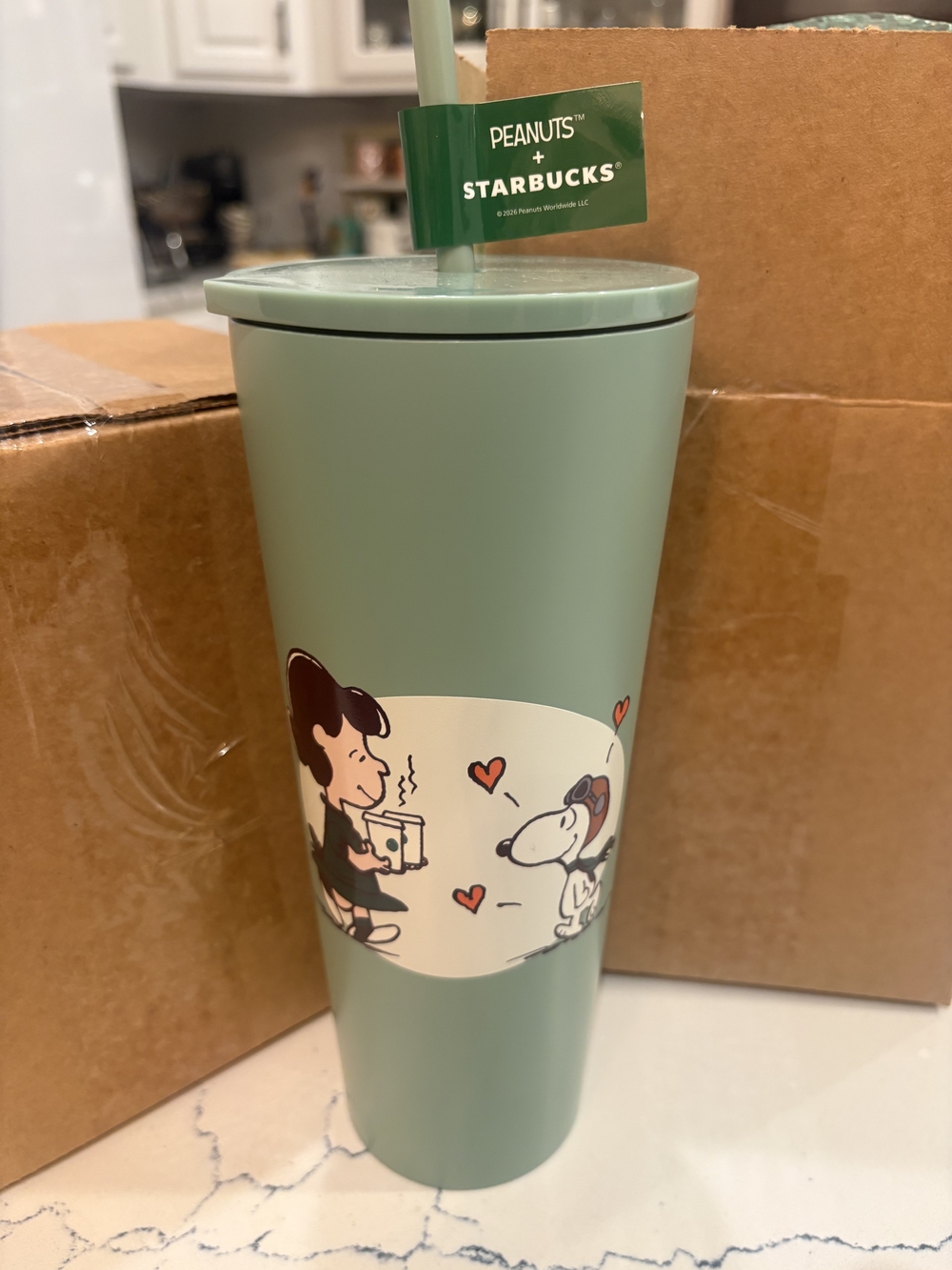 Starbucks x Peanuts Mint Green Tumbler with Straw